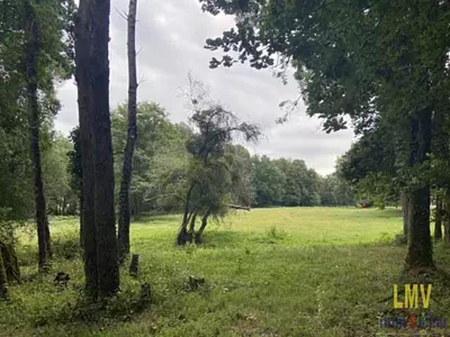 Terrain vente à Libourne, Les Salles-de-castillon
