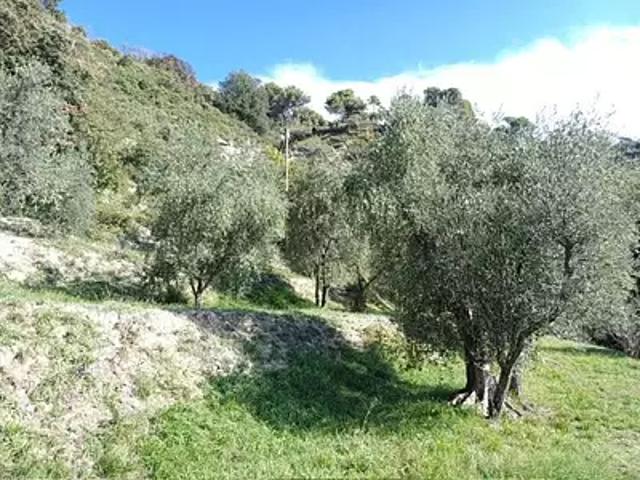 Maison vente à Nice, L'escarène