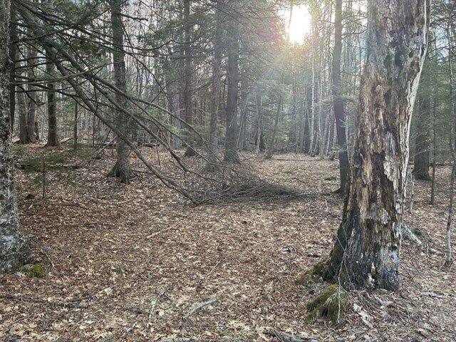 Land for sale in Rowe, Massachusetts