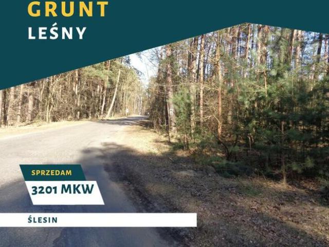 Grunt na sprzedaż w Ślesin, Wielkopolskie