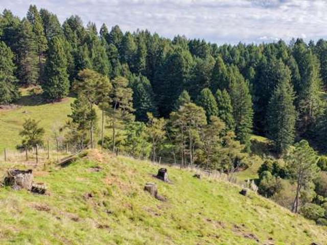 Property for sale in Putaruru, Waikato
