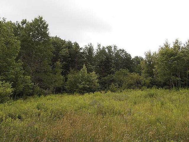 Land for sale in Blackfalds, Alberta