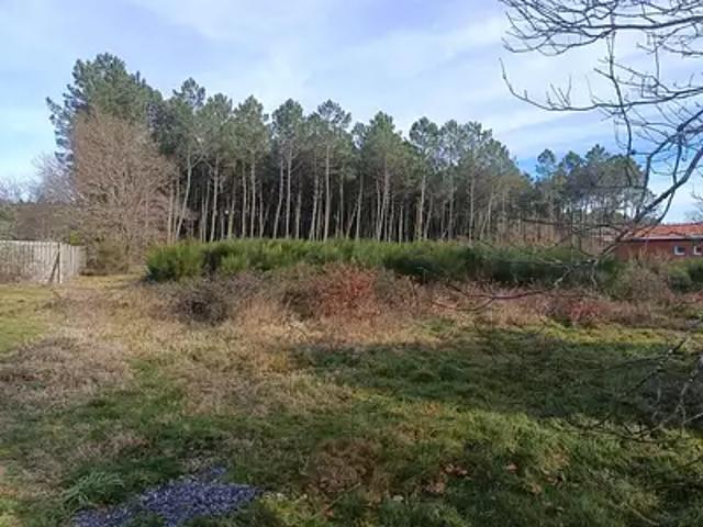Terrain vente à Lesperon, Landes