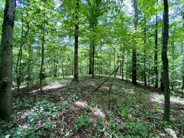 Land for sale in Northport, Tuscaloosa County