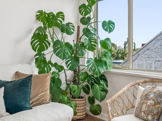 Apartment for sale in Thornbury, Melbourne