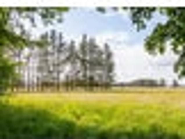 Land for sale in Greytown, Wellington