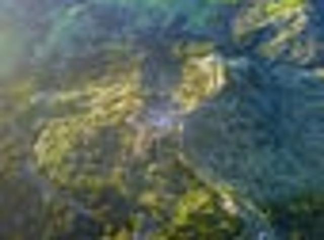 Land for sale in Fairburn, Northland