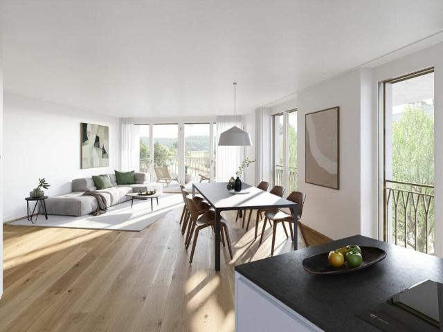 Attikawohnung kaufen in Endingen, Aargau