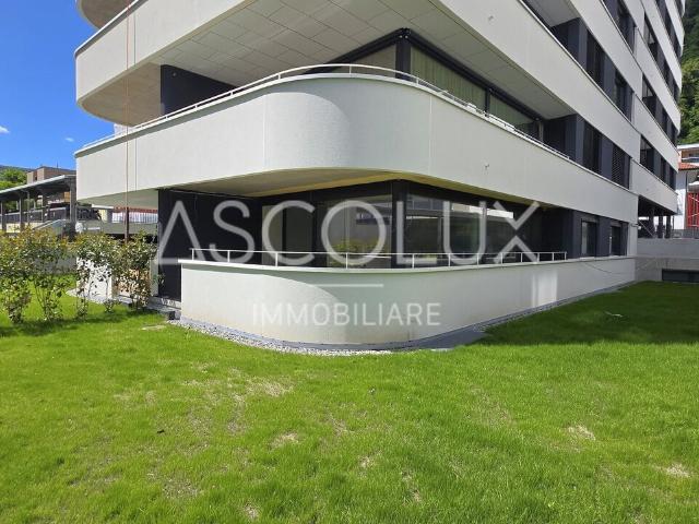 Wohnung kaufen in Locarno, Tessin