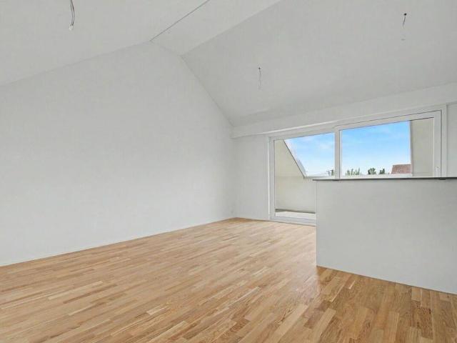 Apartment mieten in Platte, Thalwil