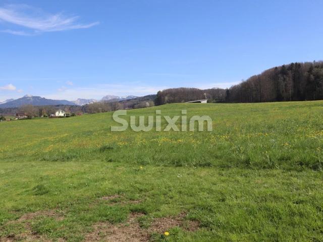 Wohnung kaufen in Bossonnens, Freiburg