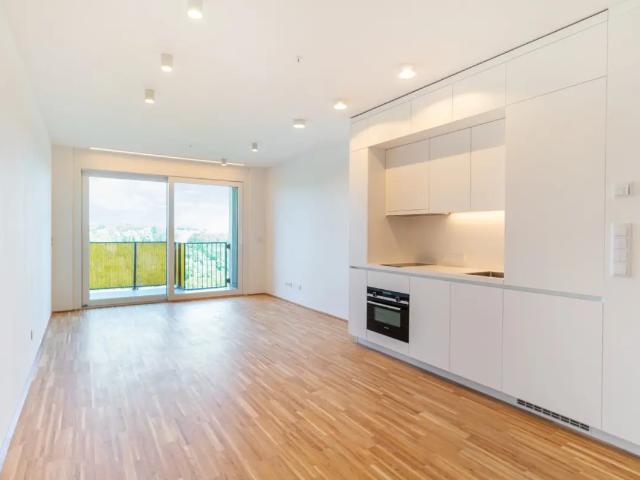 Apartment mieten in Per-Albin-Hansson-Siedlung Ost, Wien