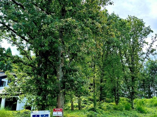 Landwirtschaft kaufen in Ludwigsthal, Neunkirchen