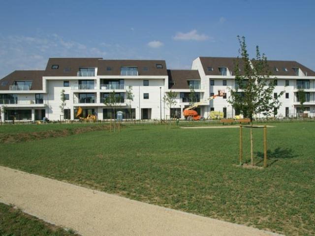 Kot location à Harelbeke, West-Vlaanderen
