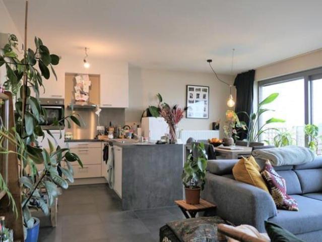 Appartement location à Desteldonk, Oost-Vlaanderen