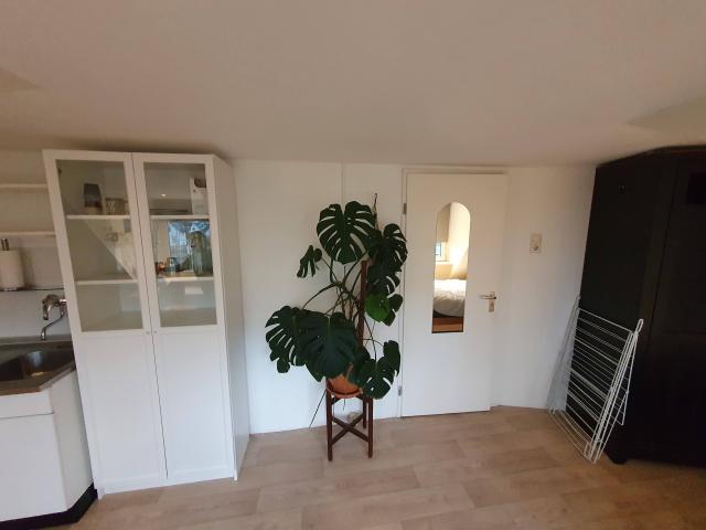 Studio te huur in Frans Halsbuurt, Haarlem