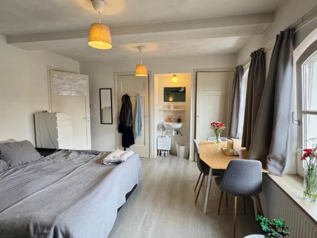 Kamer te huur in Centrum, Assen