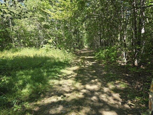 Land for sale in Levant, Penobscot County