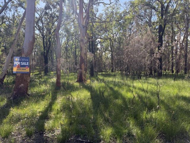 Land for sale in North Arm Cove, New South Wales