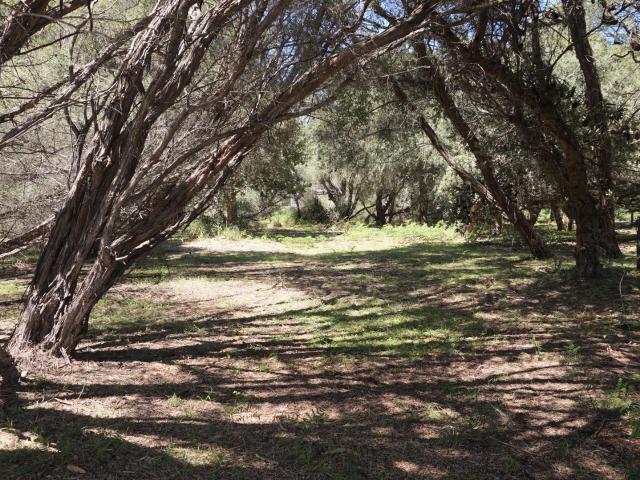 Property for sale in Loch Sport, Victoria