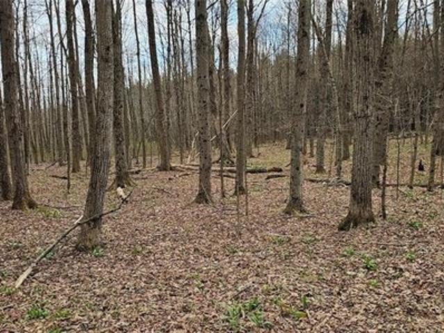 Land for sale in Berkshire, New York
