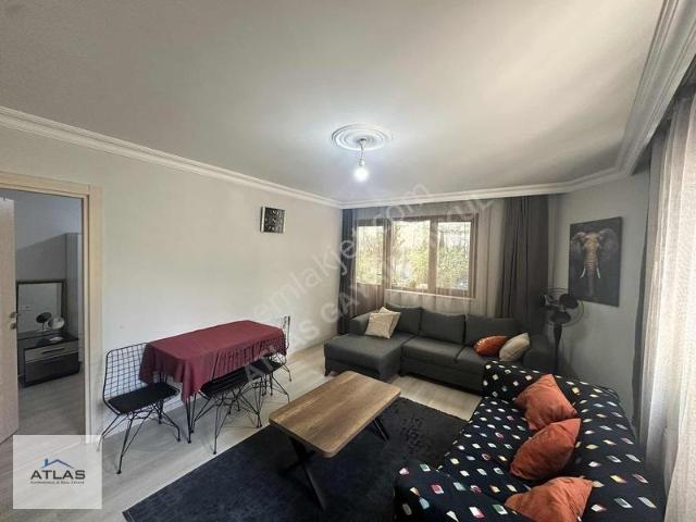 Kağithane, İstanbul içerisinde kiralık mülk