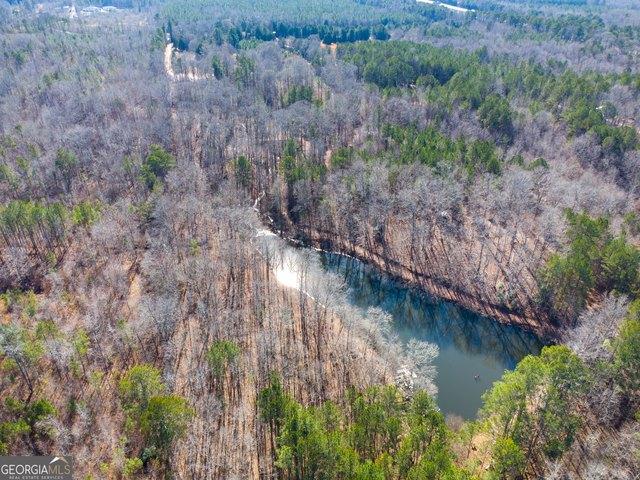 Land for sale in Moreland, Georgia