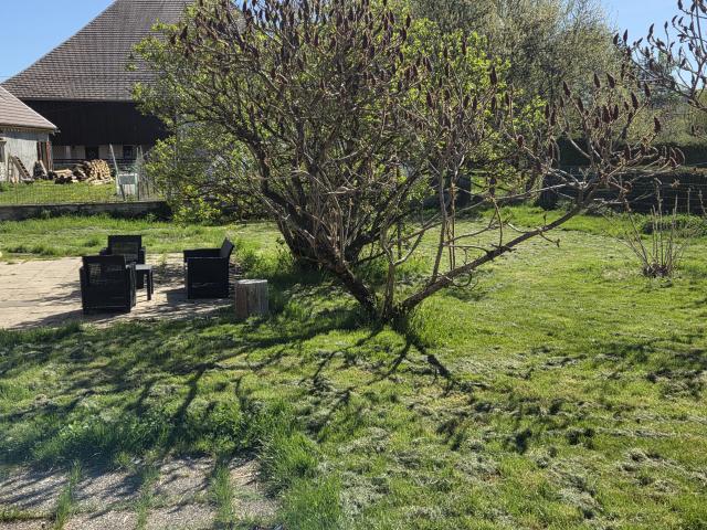 Maison vente à Pontarlier, Levier