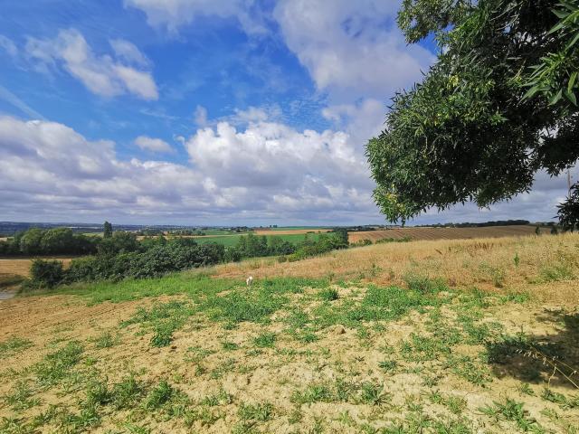 Terrain vente à Toulouse, Lévignac