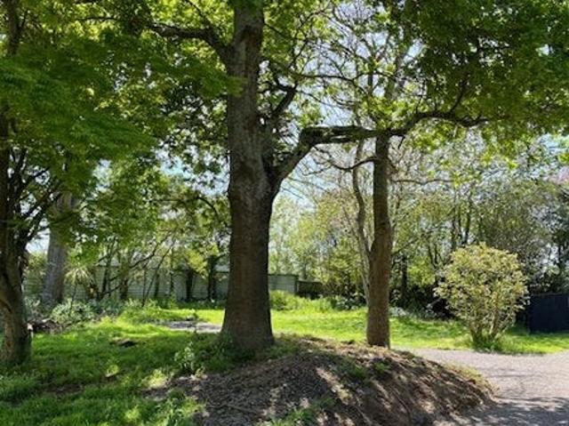 House for rent in Horowhenua District