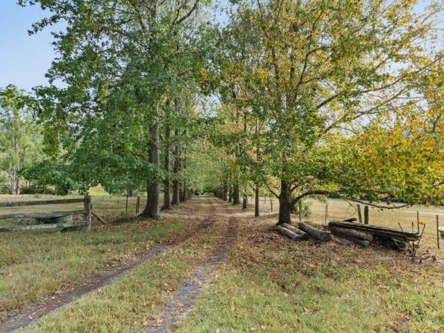Cottage for sale in Yarramalong, New South Wales