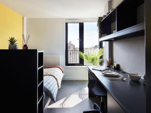 Studio for rent in Brighton, Queen's Park