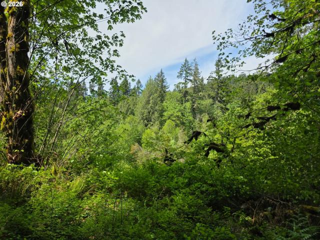 Land for sale in Oregonia