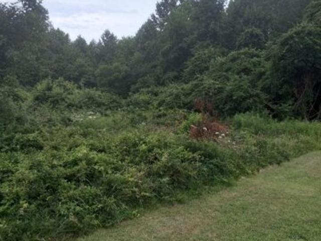 Land for sale in Spotsylvania Land for sale in Spotsylvania
