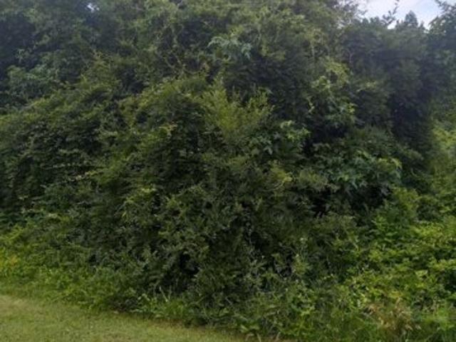 Land for sale in Spotsylvania Land for sale in Spotsylvania