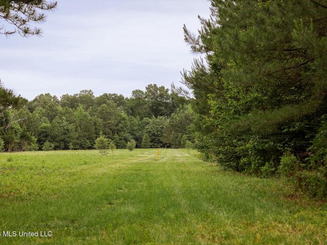Land for sale in Crosby, Mississippi