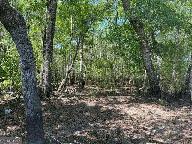 Land for sale in Nahunta, Georgia