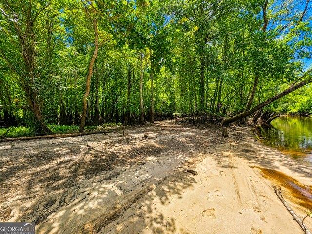 Land for sale in Nahunta, Georgia
