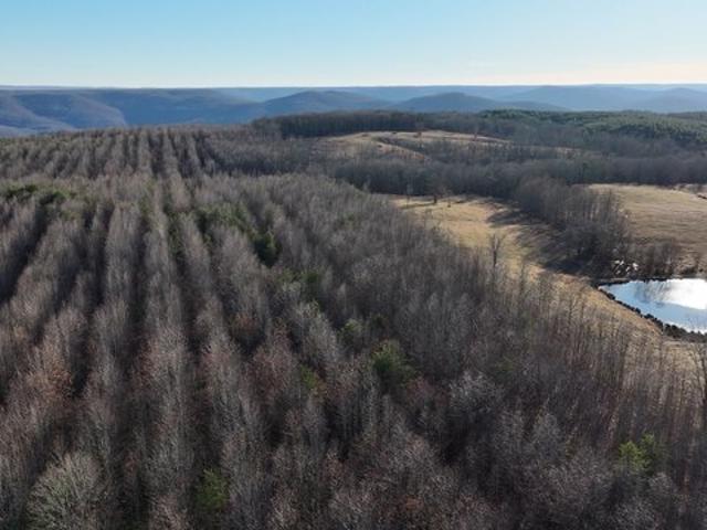 Land for sale in Tennessee