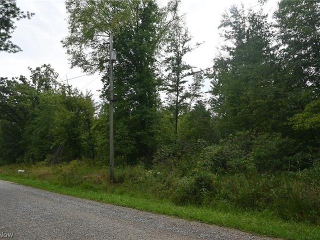 Land for sale in Pierpont, Ohio