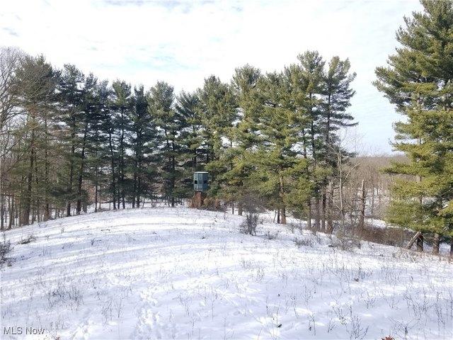 Farm for sale in Salineville, Ohio