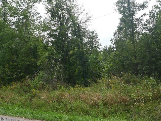 Land for sale in Pierpont, Ohio