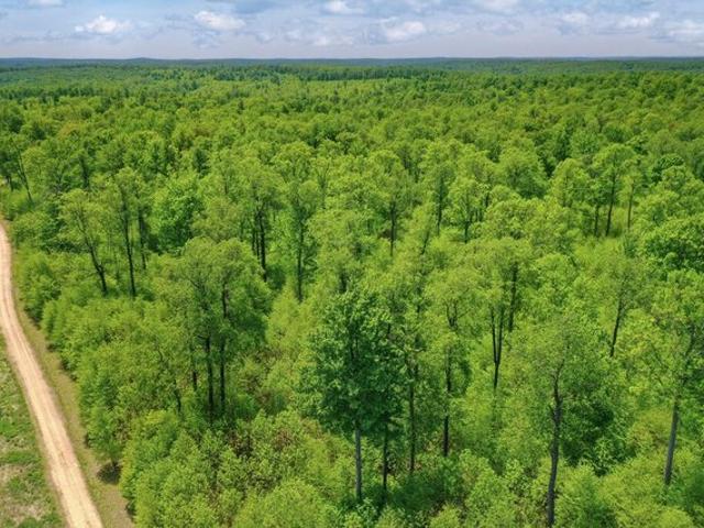 Land for sale in Lewis Run, McKean County