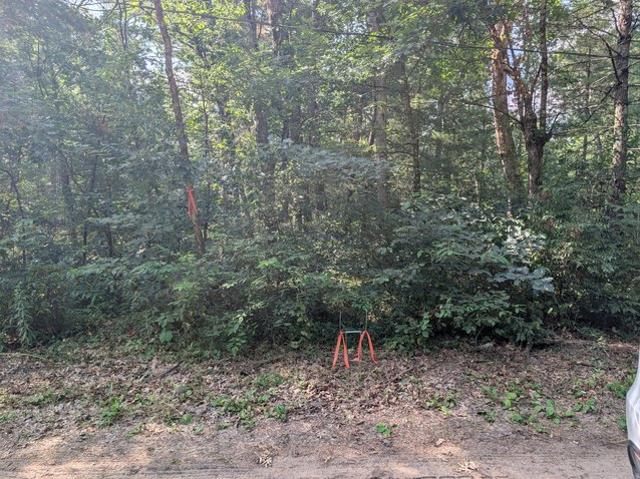 Land for sale in Baldwin, Michigan