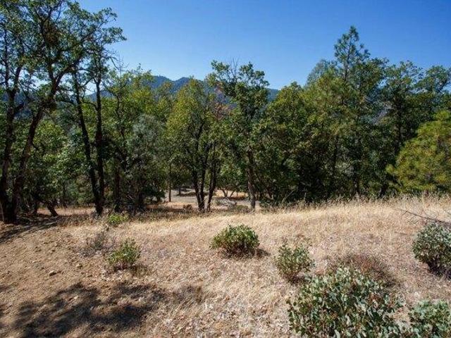 Land for sale in Lewiston