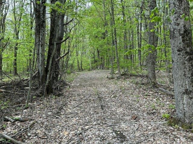 Land for sale in Lewiston, Maine
