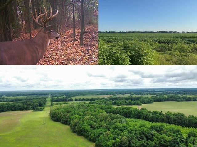 Farm for sale in Louisiana
