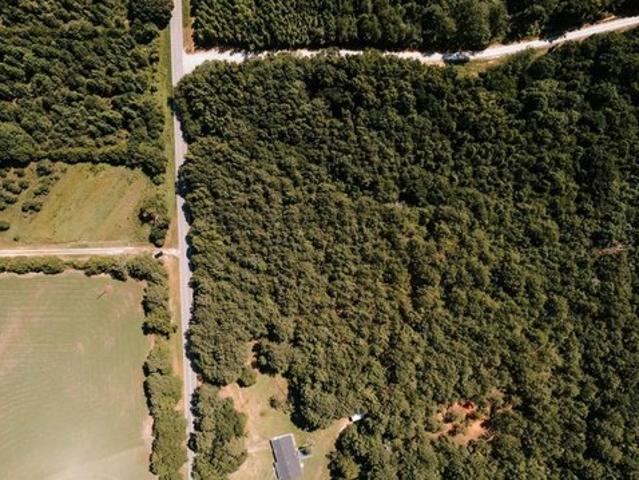 Land for sale in Carlton, Georgia
