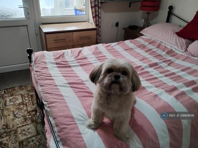 House for rent in Hull, City Of Kingston Upon Hull
