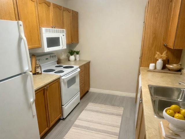 Apartment for rent in Fredericton, New Brunswick